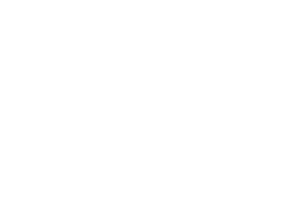 CE-RISE logo